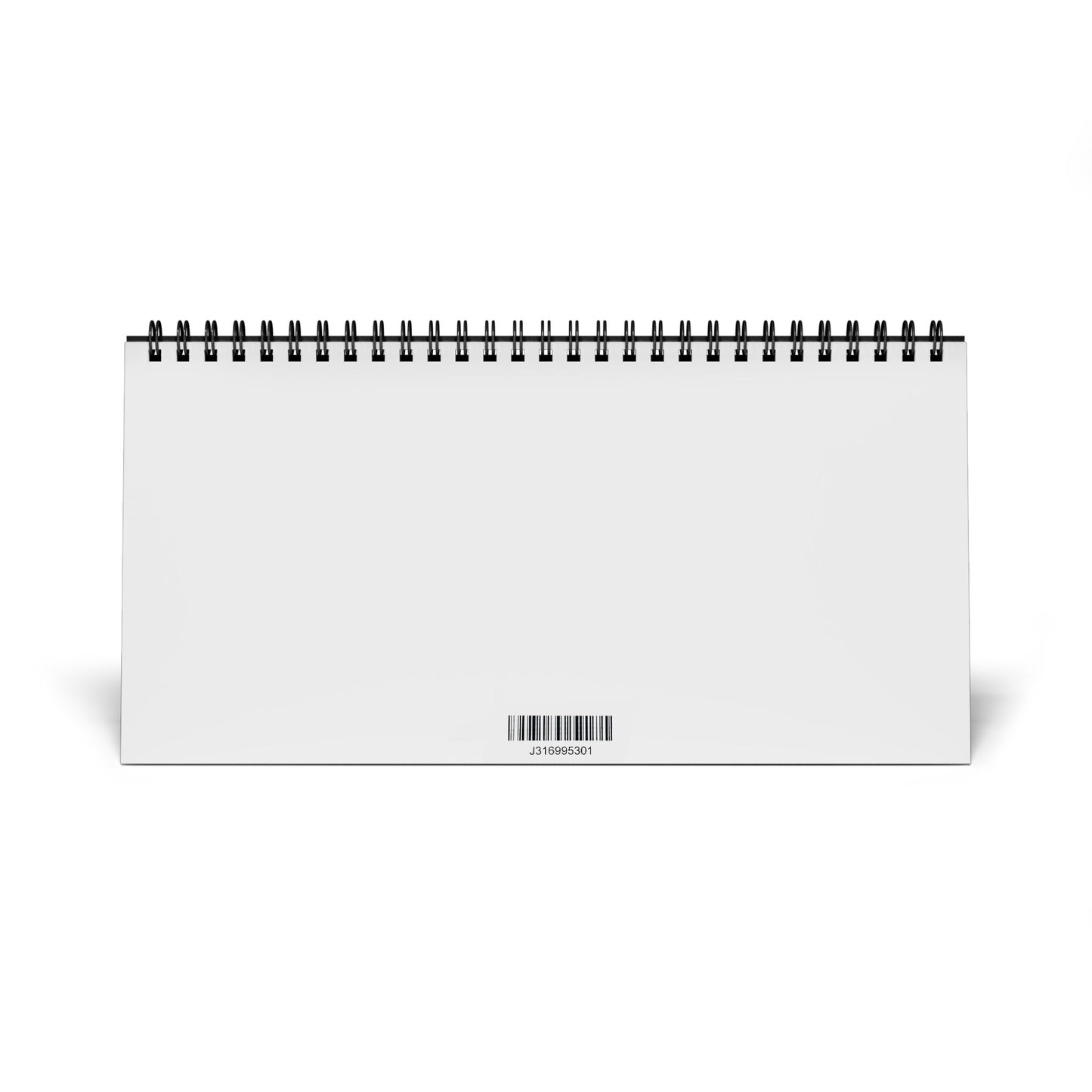 HistoryMaps Desk Calendar 2025