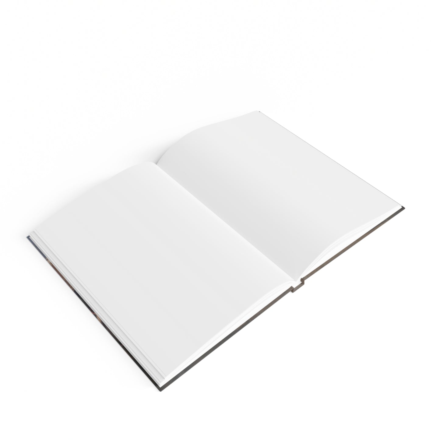 The Intervention of the Sabine Women Journal - Blank